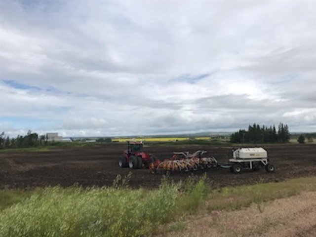 A1165121