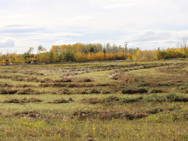 A1165121
