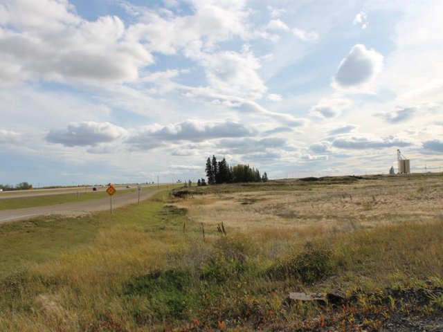 A1165121