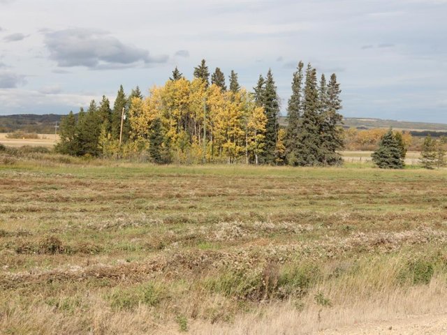 A1165121
