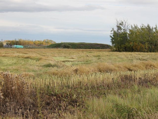 A1165127