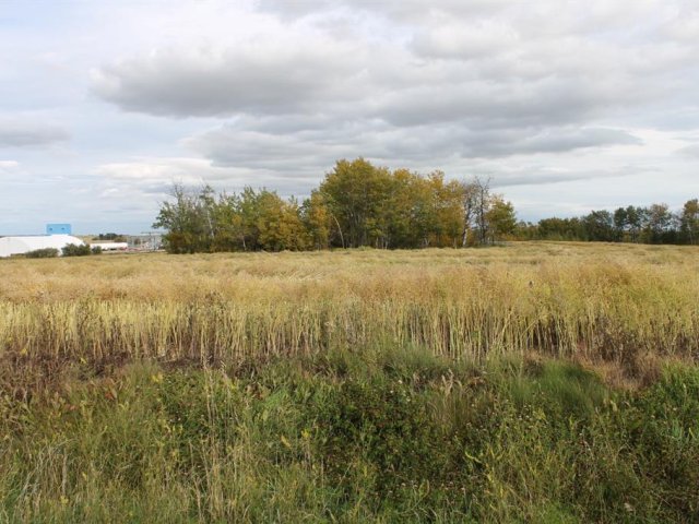 A1165127