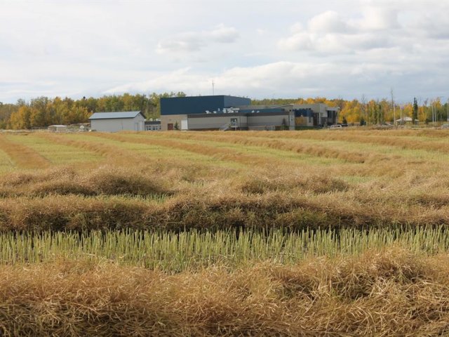 A1165127
