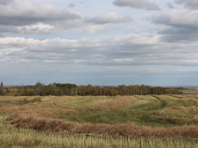 A1165129
