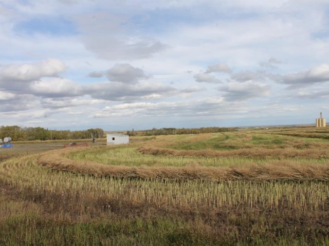 A1165129