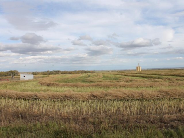 A1165129