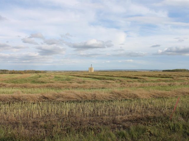 A1165129