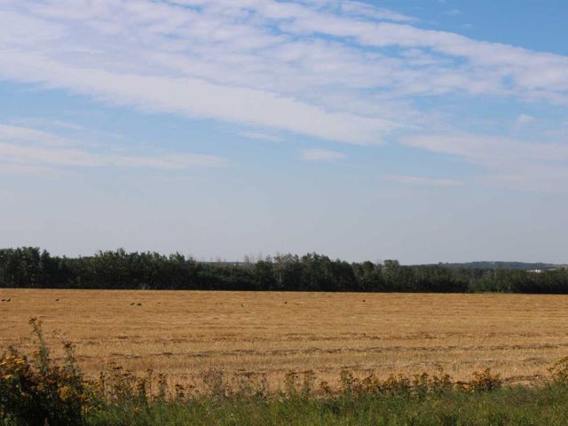 A2176541