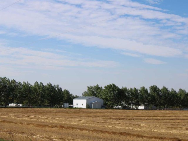 A2176541