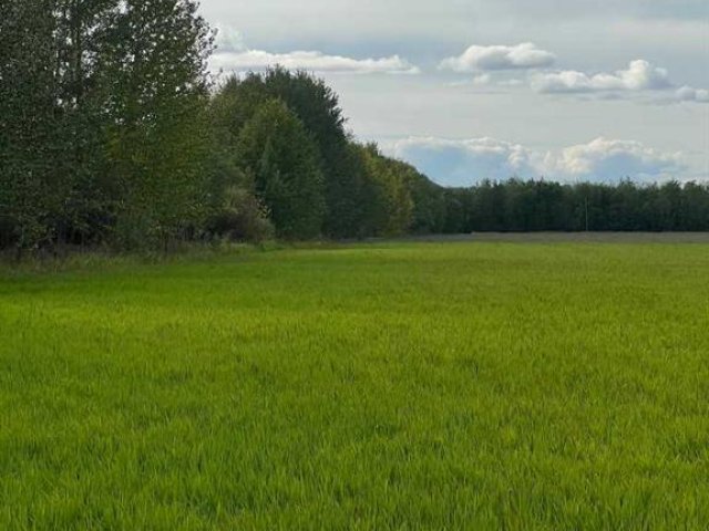 A2227734