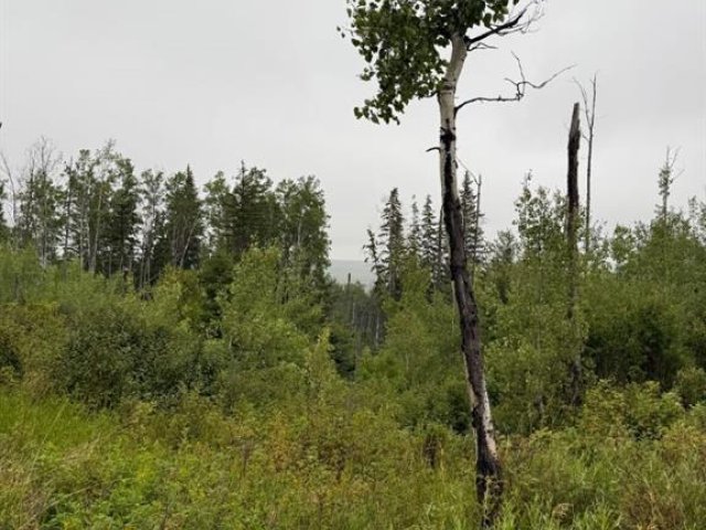 A2253952
