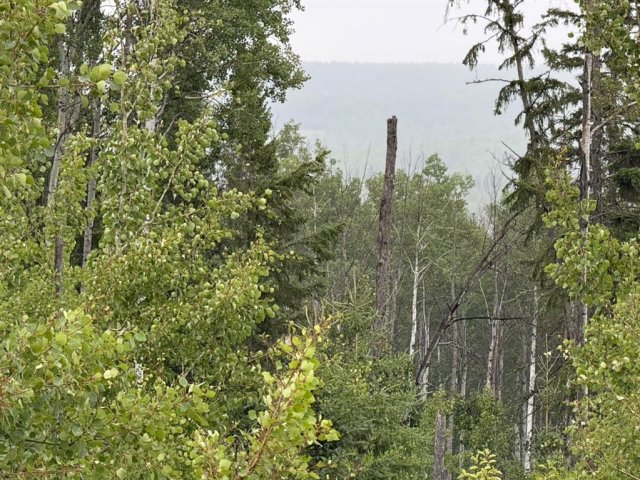 A2253952