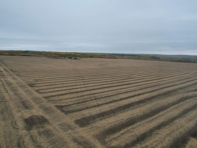 A2261374