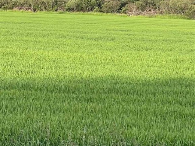 A2278258