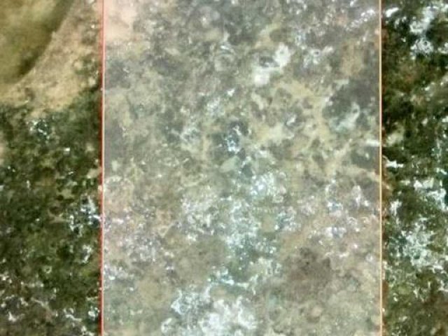 A2288031