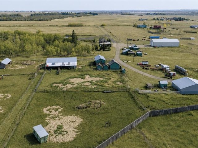 A2315694