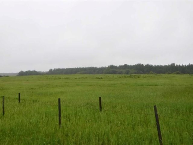 A2331148