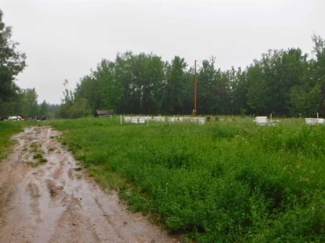 A2331148