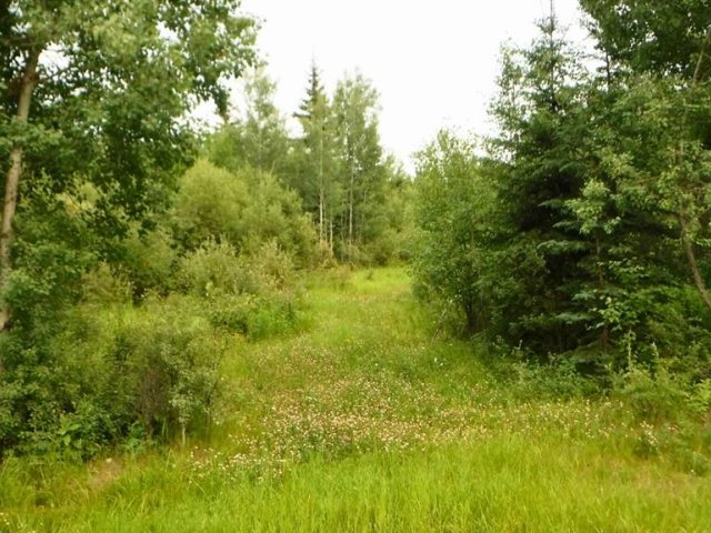 A2332525