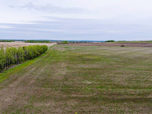 A2337276