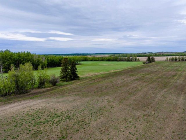 A2337276
