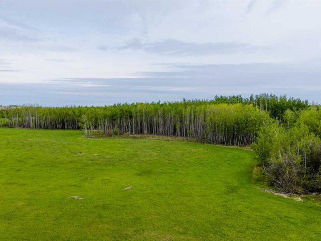 A2337276