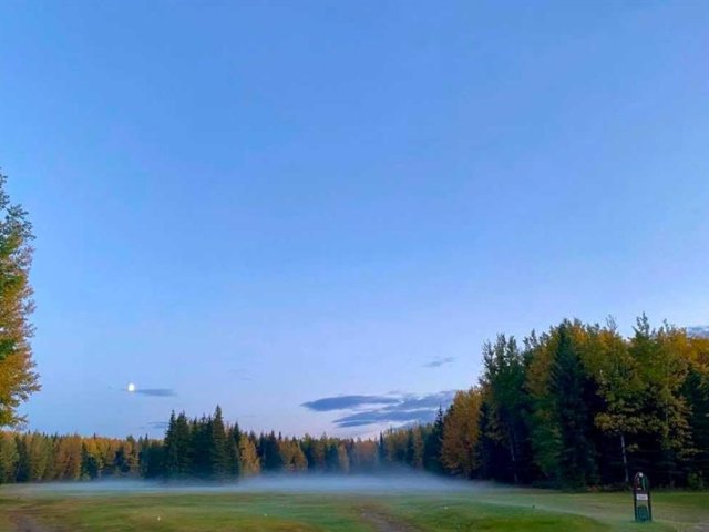 A2336975