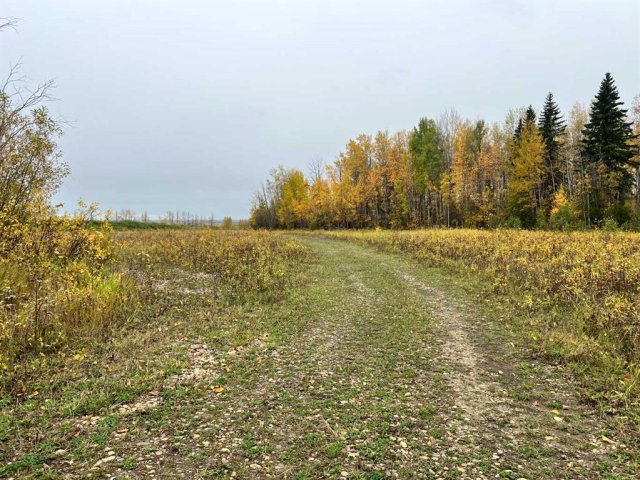A2172602