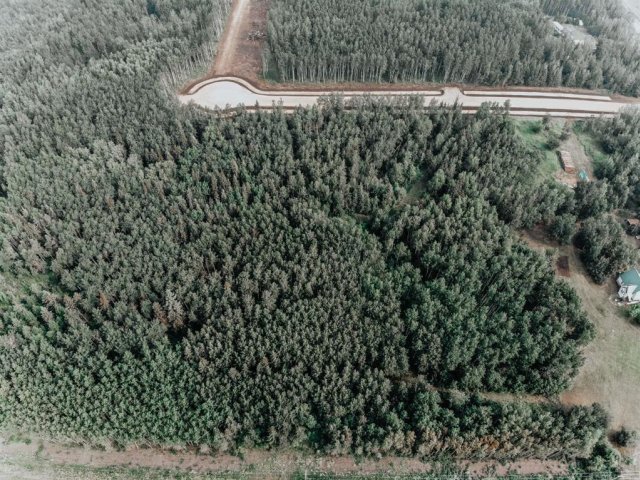 A2187592