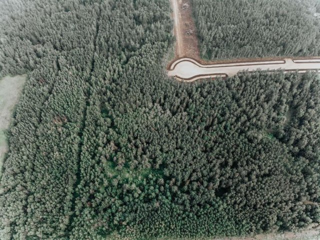 A2187592