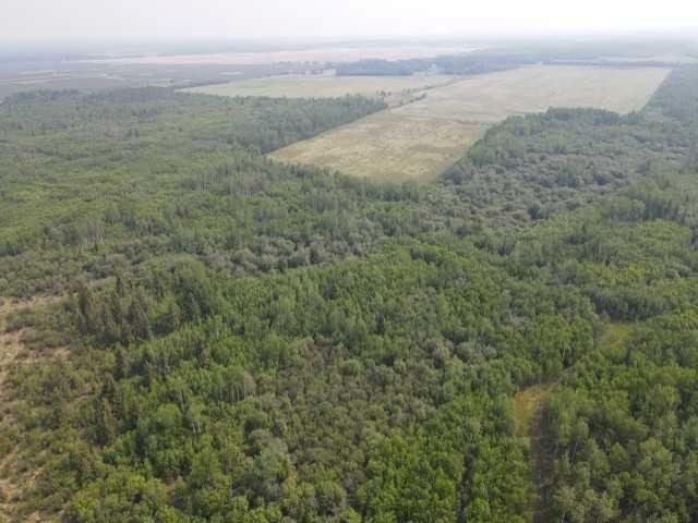 A2229847