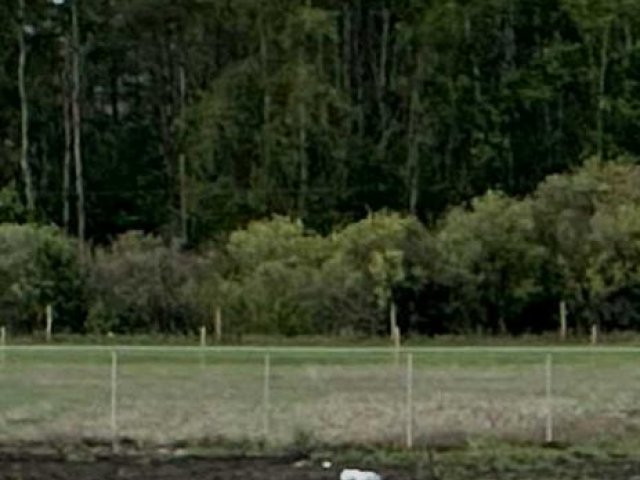 A2231013