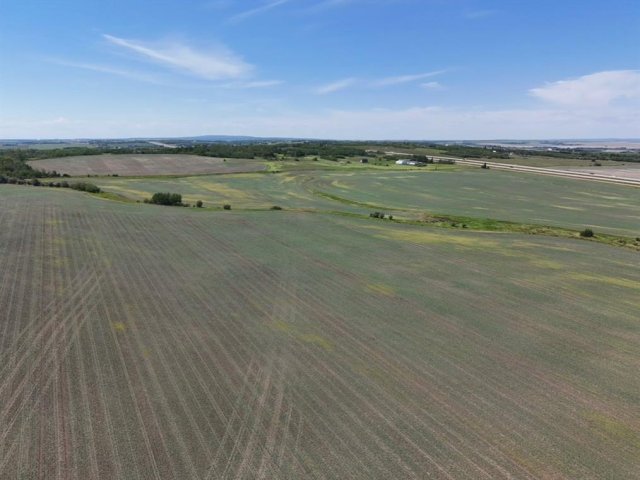 A2234784