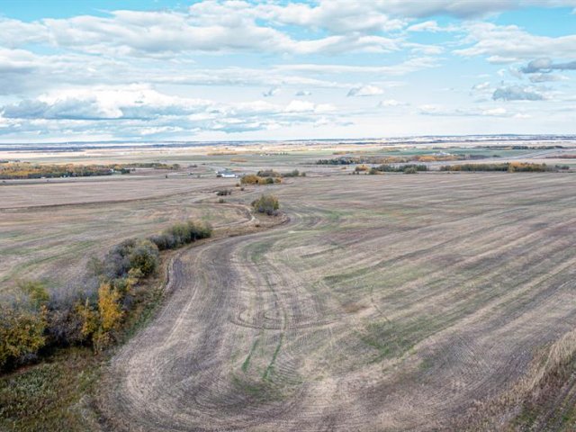 A2234784