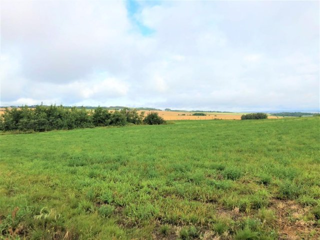 A2239646