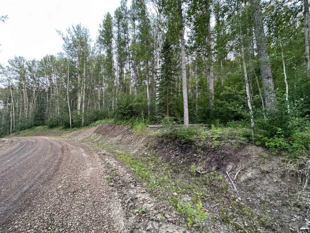 A2246256