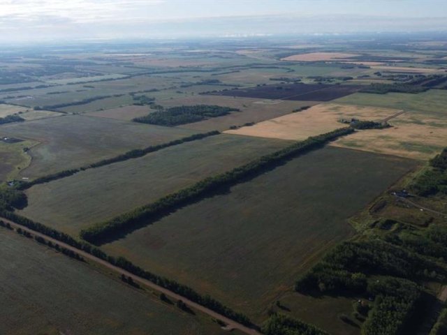A2248416