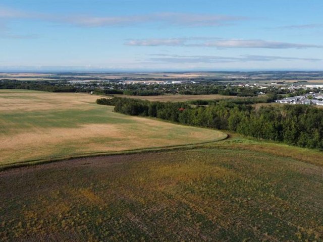 A2248416