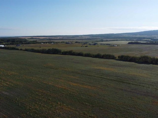 A2248416