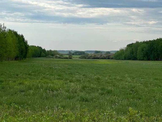 A2307838