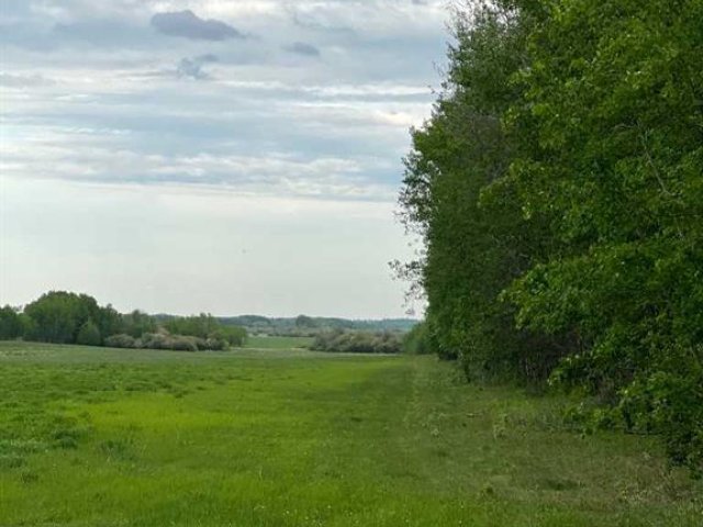 A2307838