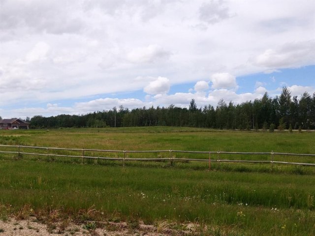 A2313601