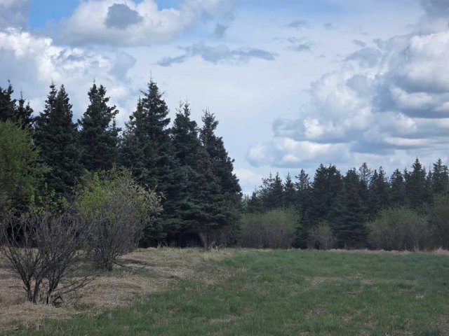 A2313732