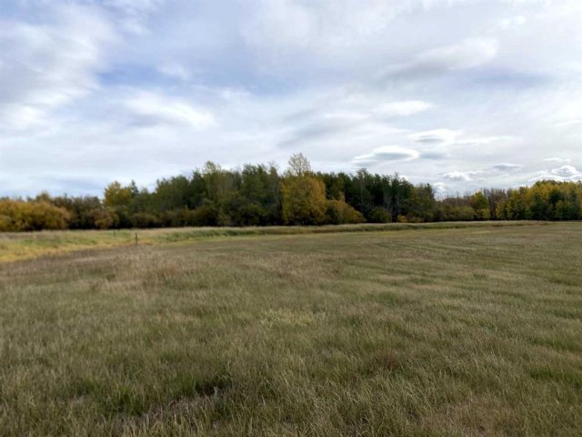A2314955