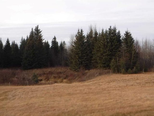 A2318730