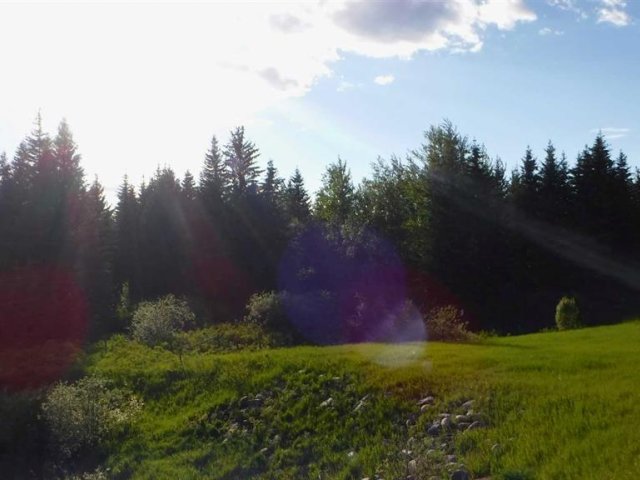 A2318730