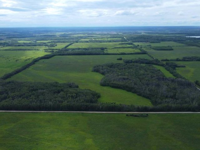 A2326481
