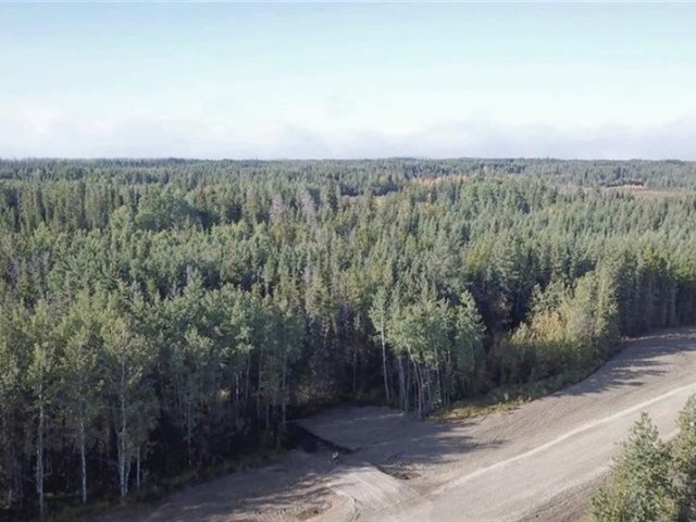 A2327293