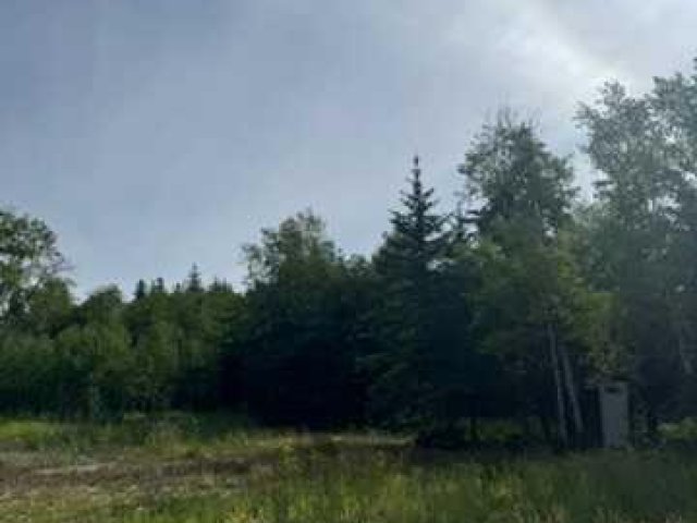 A2334764