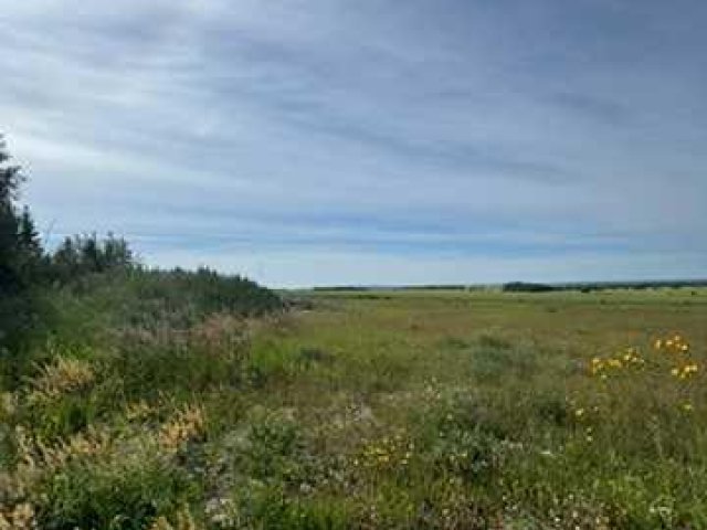 A2334764